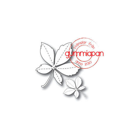 Picture of Chestnut leaves - stansen